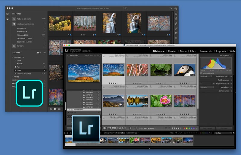 Adobe Photoshop Lightroom 6 vs 5